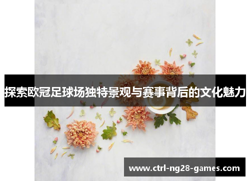 探索欧冠足球场独特景观与赛事背后的文化魅力